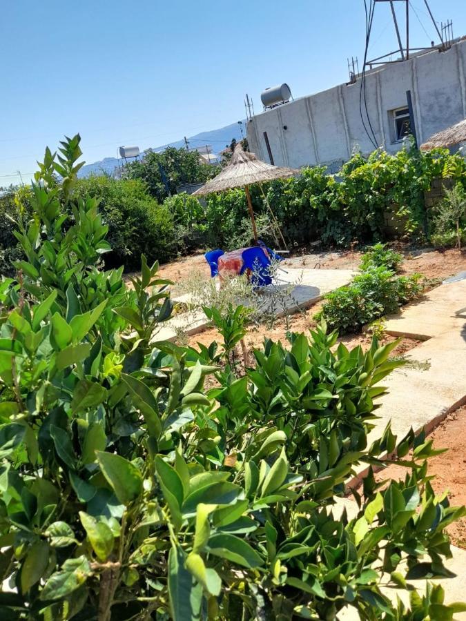 Rey Garden Villa Vlorë Exterior foto